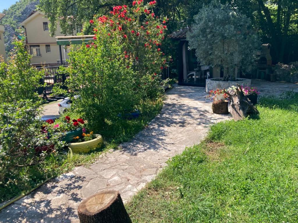 Apartments Villa Eden Kotor Luaran gambar