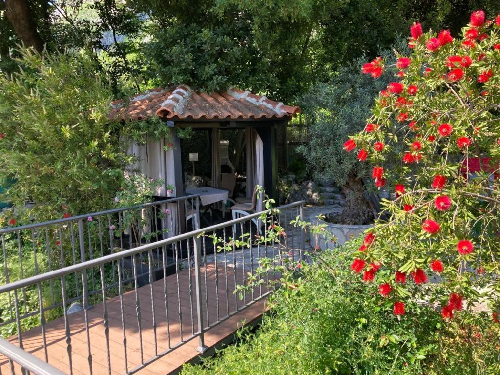 Apartments Villa Eden Kotor Luaran gambar